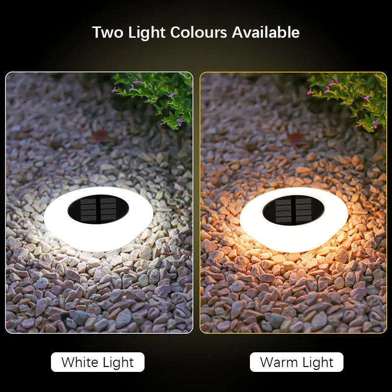 Luces Solares Rasantes de Jardín 14LED — Pack 1 a 4